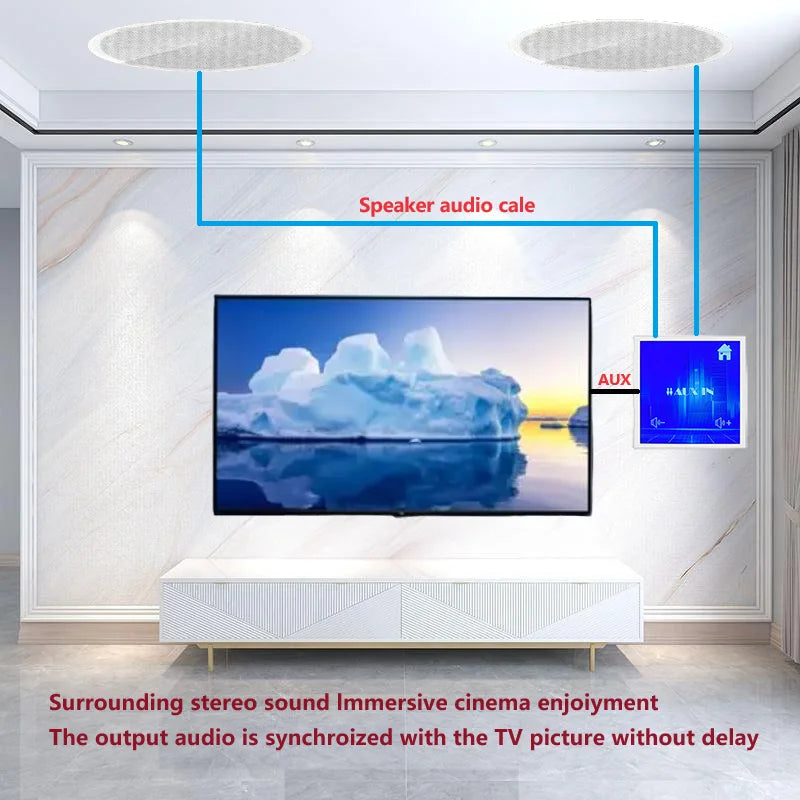 Bluetooth Wall Amplifier with Touch Screen and FM Radio Support - Home Smart Direct