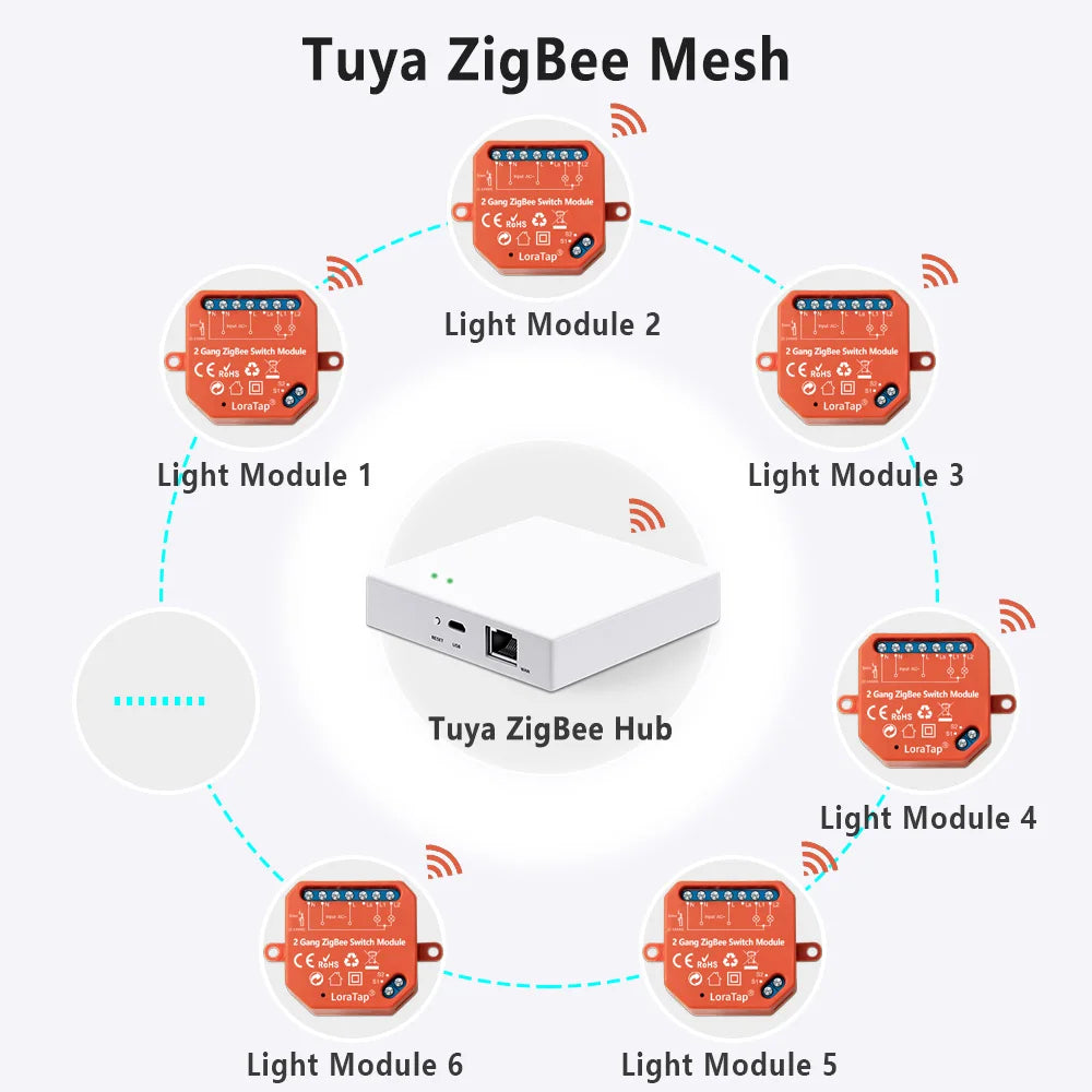 LoraTap Tuya ZigBee 3.0 2 Gang Light Switch Relay Module Google Home Alexa Echo Remote Control Work with Zigbee2MQTT DIY - Home Smart Direct