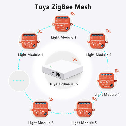 LoraTap Tuya ZigBee 3.0 2 Gang Light Switch Relay Module Google Home Alexa Echo Remote Control Work with Zigbee2MQTT DIY - Home Smart Direct