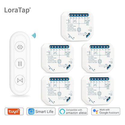Smart Curtain Switch Module with Remote and App Control