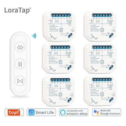 Smart Curtain Switch Module with Remote and App Control