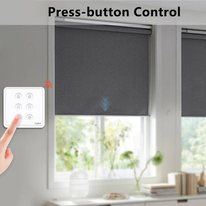 Tuya ZigBee EU US Dual Curtain Pushbutton Touch Panel Switch Tubular Motors Smart Life App Remote Control Google Assistant Alexa - Home Smart Direct