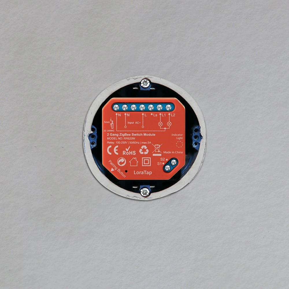 Tuya Smart Life ZigBee Switch 2 Gang Relay Module Lighting Google Home Assistant Alexa Echo App Remote Control Timer Zigbee2MQTT - Home Smart Direct