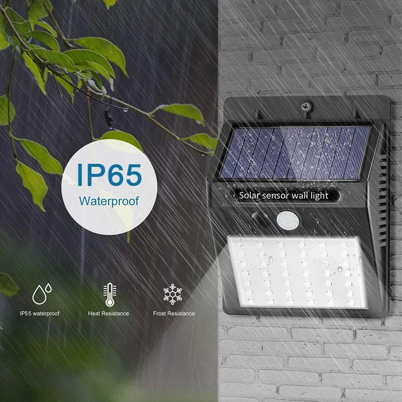 Solar Motion Sensor Light for Outdoor Security and Pathway Lighting