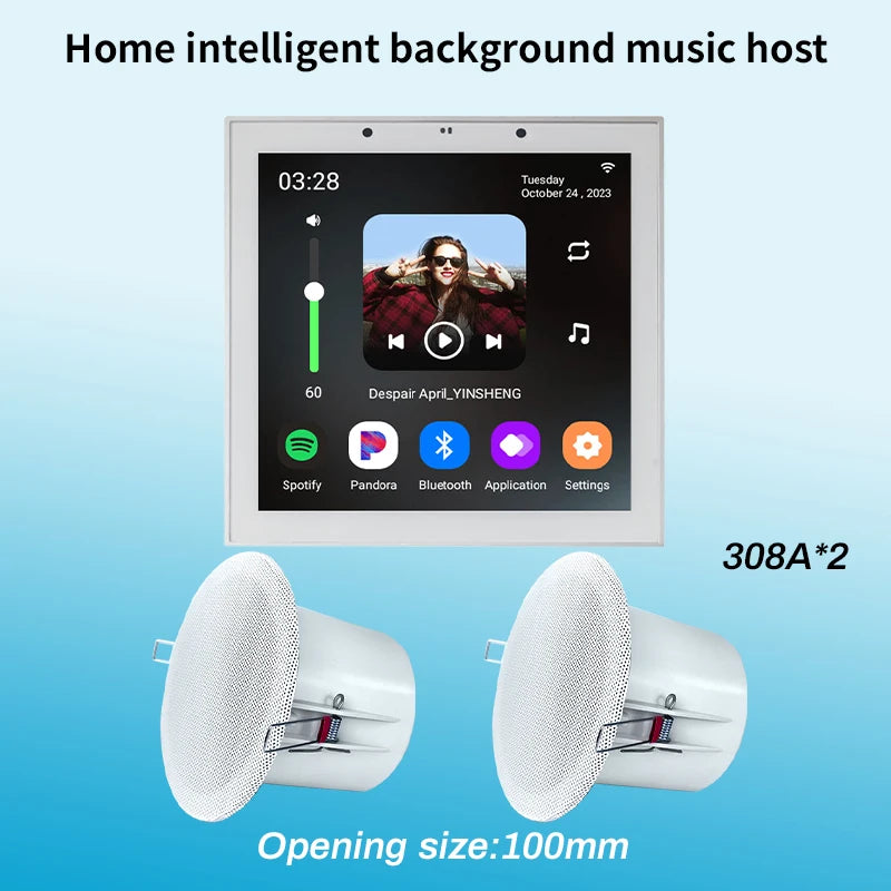 Tuya Smart Home Wall Amplifier with Bluetooth Music Player and Ceiling Speaker - Home Smart Direct