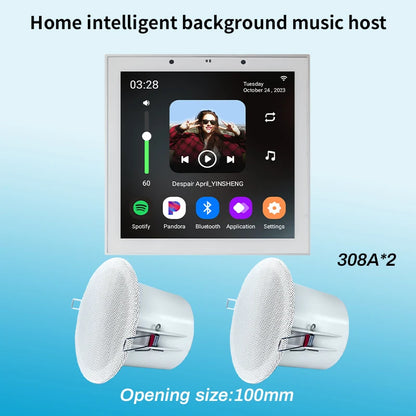 Tuya Smart Home Wall Amplifier with Bluetooth Music Player and Ceiling Speaker - Home Smart Direct