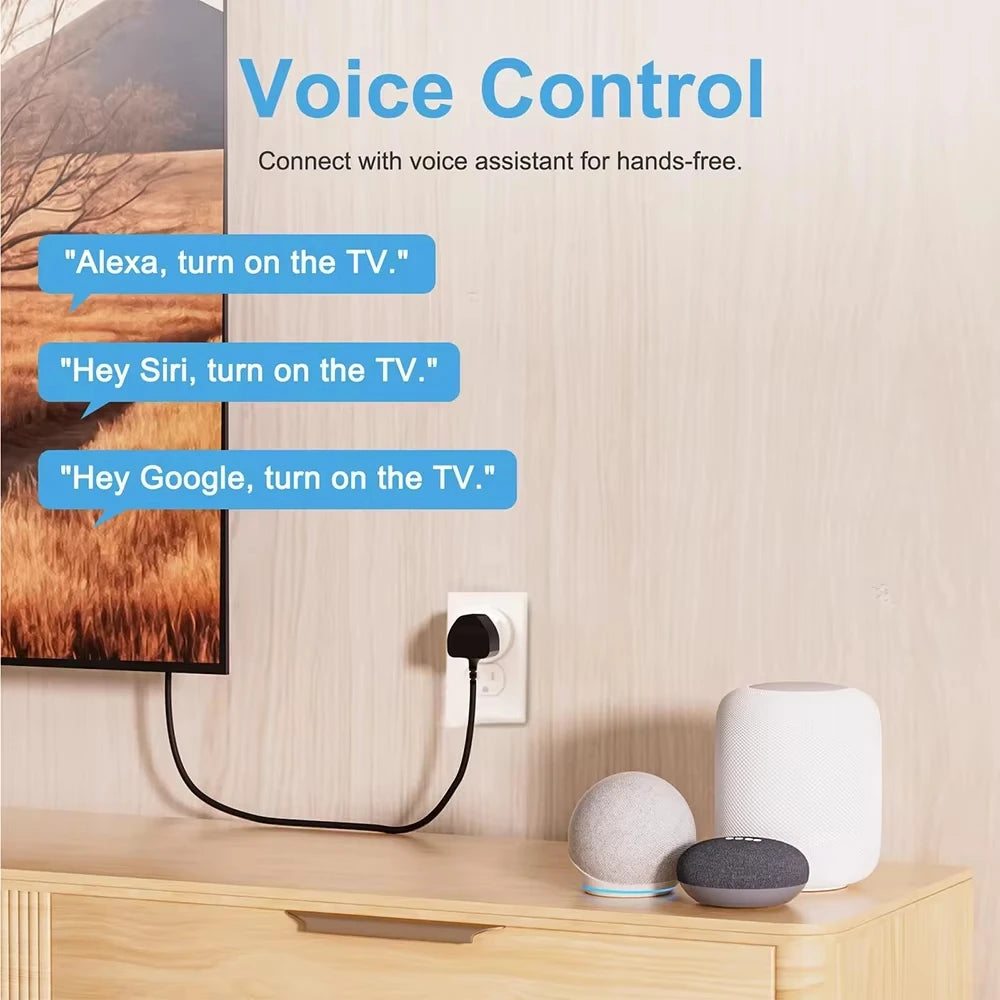 Matter WiFi Smart Socket with App and Voice Control