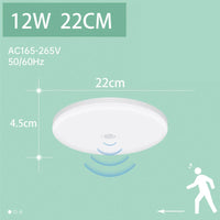 Motion Sensor 12W