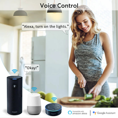 Tuya ZigBee/Wi-Fi Wireless Swith Relay Module 2 Way Control 16A Voice Control by Google Alexa - Home Smart Direct