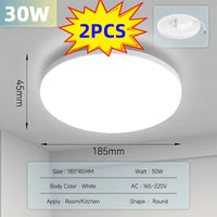 2PCS 30W White Lamp