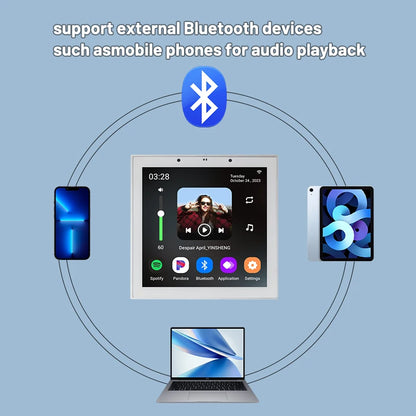 Tuya Smart Home Wall Amplifier with Bluetooth Music Player and Ceiling Speaker - Home Smart Direct