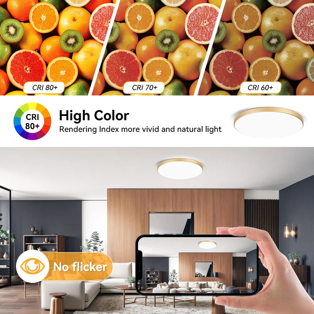 Dimmable LED Flush Mount Ceiling Light with Remote - Home Smart Direct