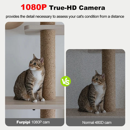 Automatic Cat Feeder with Camera and WiFi App Control