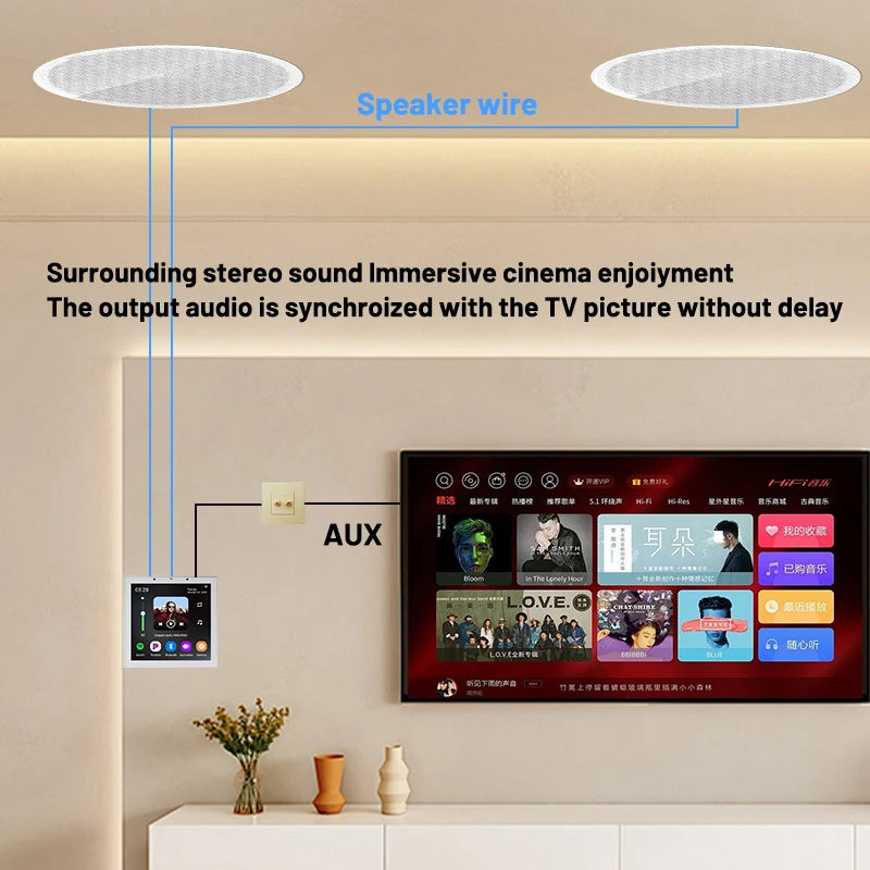 Tuya Smart Home Wall Amplifier with Bluetooth Music Player and Ceiling Speaker - Home Smart Direct