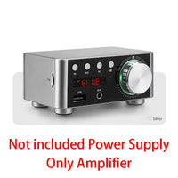 Amplifier(No Power) 1