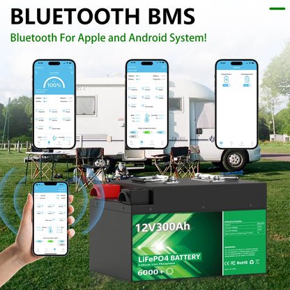 LiFePO4 Deep Cycle Battery for Solar Systems and RV Power