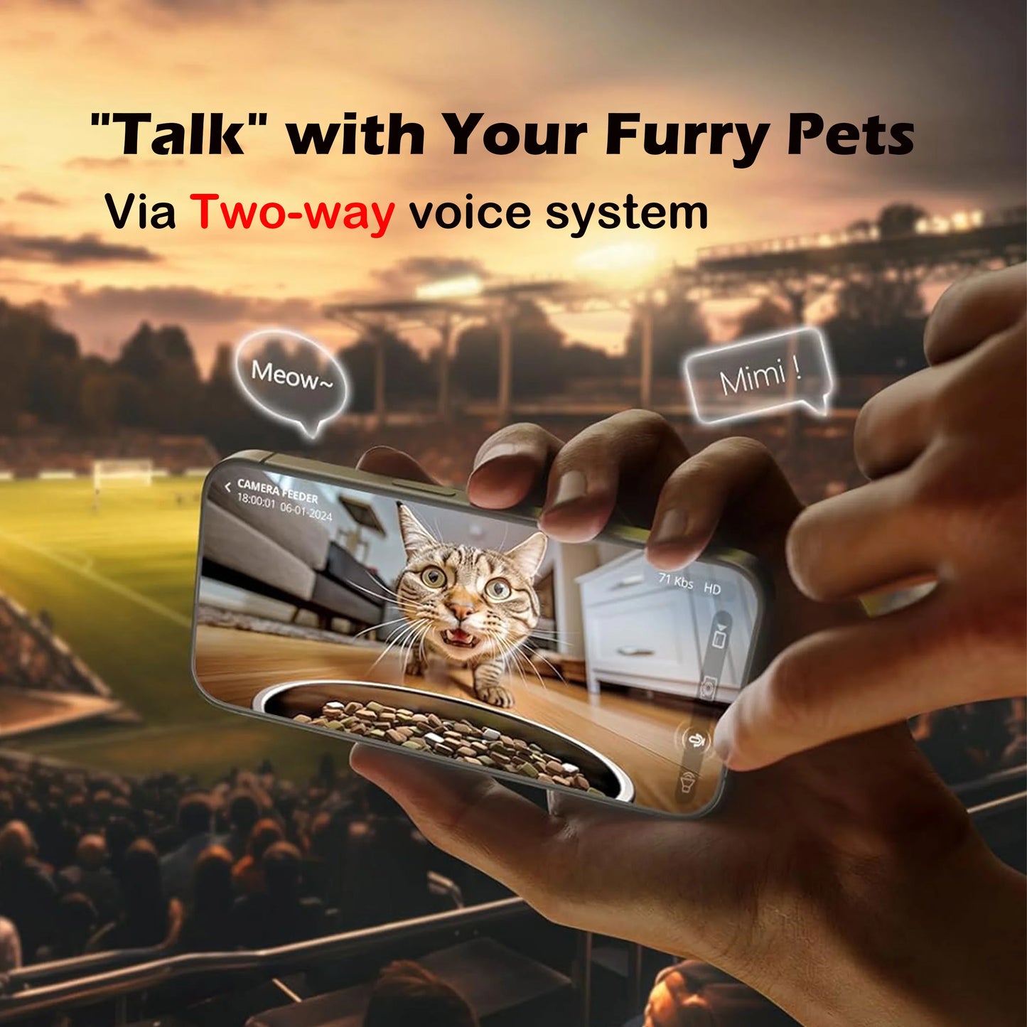 Automatic Cat Feeder with Camera and Voice Recorder