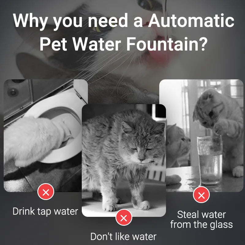 Smart Cat Water Fountain with Filter Purifier System