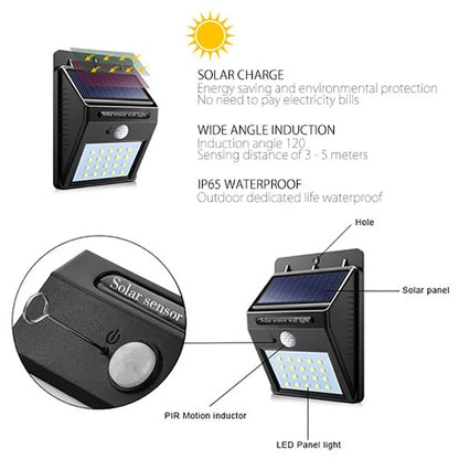 Solar Motion Sensor Light for Outdoor Security and Pathway Lighting