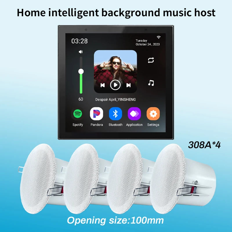 Tuya Smart Home Wall Amplifier with Bluetooth Music Player and Ceiling Speaker - Home Smart Direct