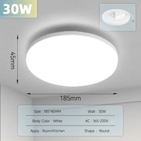 30W White Lamp