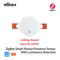 Celling Mount ZigBee