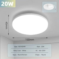 20W White Lamp