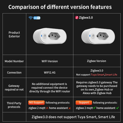 Smart WiFi Zigbee Plug with Power Monitor Voice Control
