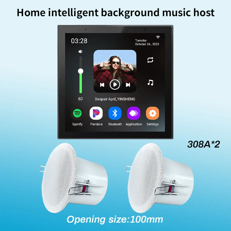 Tuya Smart Home Wall Amplifier with Bluetooth Music Player and Ceiling Speaker - Home Smart Direct