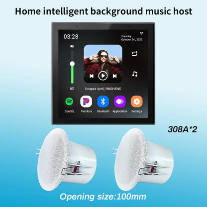 Tuya Smart Home Wall Amplifier with Bluetooth Music Player and Ceiling Speaker - Home Smart Direct