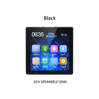 Black 2x20W