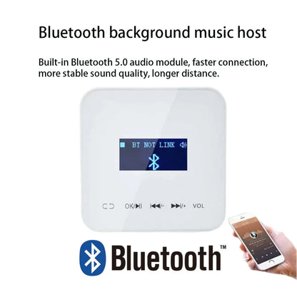 Bluetooth Wall Amplifier Touch Stereo Sound System - Home Smart Direct