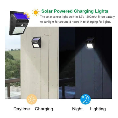 Solar Motion Sensor Light for Outdoor Security and Pathway Lighting