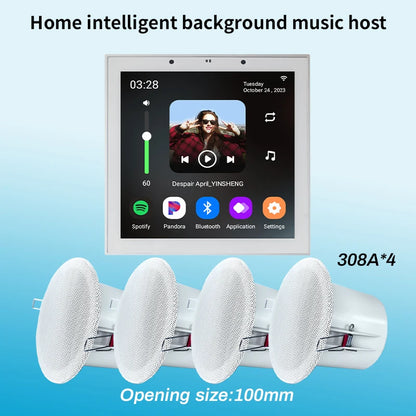 Tuya Smart Home Wall Amplifier with Bluetooth Music Player and Ceiling Speaker - Home Smart Direct