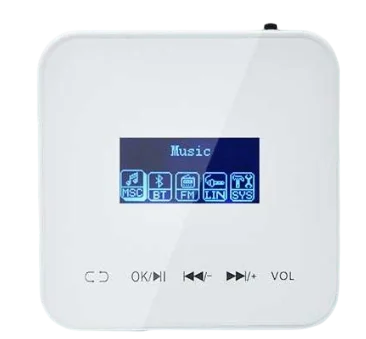 Bluetooth Wall Amplifier Touch Stereo Sound System - Home Smart Direct